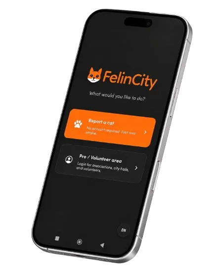 Application mobile de signalement d’animaux errants, écran d’accueil
